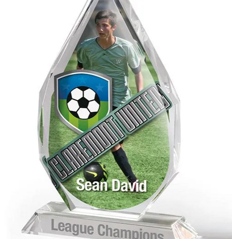 Custom Printed Awards Image