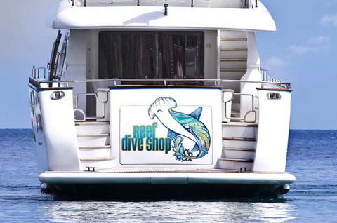 Vehicle Graphics - Vinyl Cutting Image